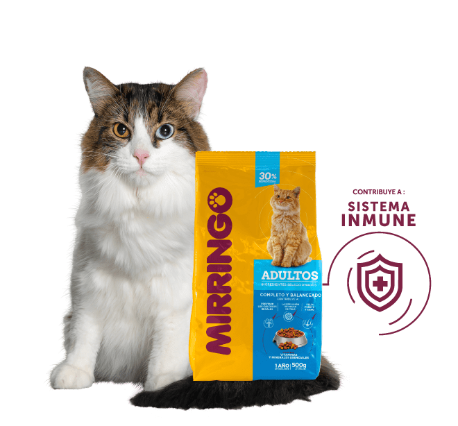 producto mirringo adultos
